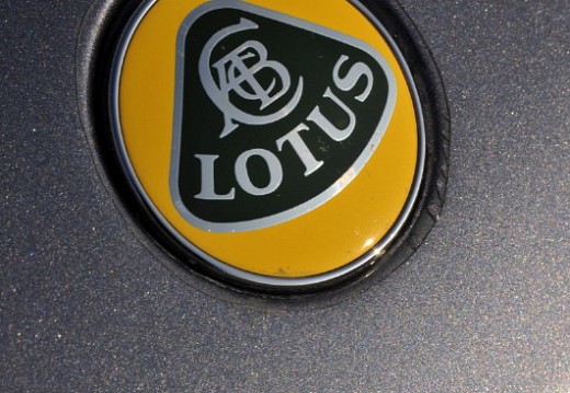 Lotus 043