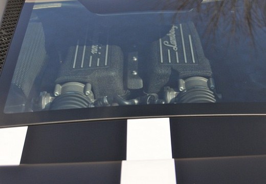 V8 V12 Mars 2011 045