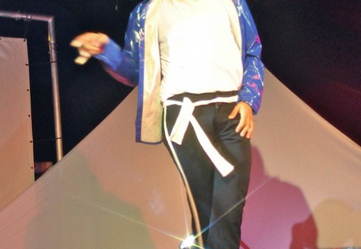 Festival Michael Jackson Juillet 2011 381