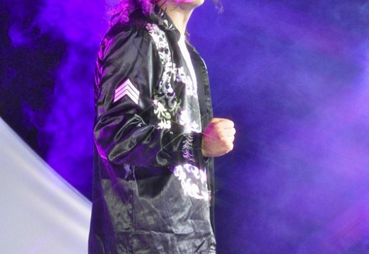 Festival Michael Jackson Juillet 2011 448