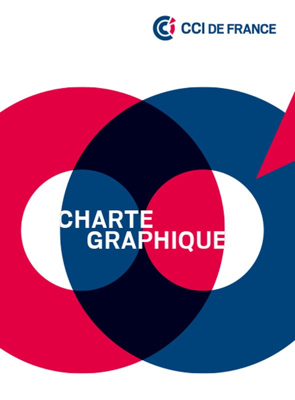 Charte graphique CCI de France 2012