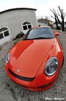 Porsche delaVilla Cayman VRS 019