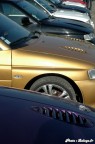 RS80 Mai 2008 002