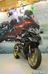 Milles Roues Mars 2011 014