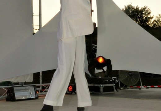 Festival Michael Jackson Juillet 2011 096