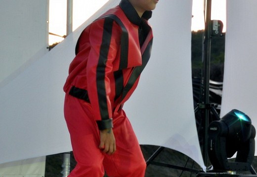 Festival Michael Jackson Juillet 2011 132