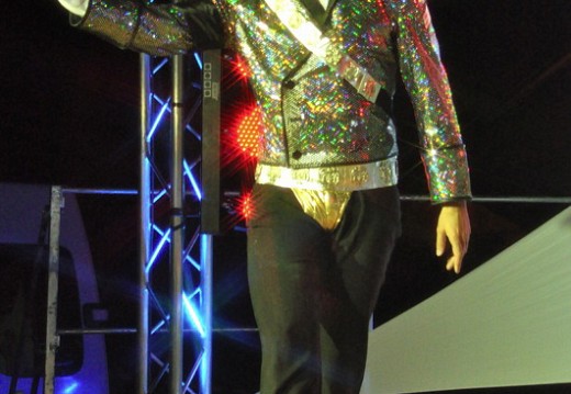Festival Michael Jackson Juillet 2011 259