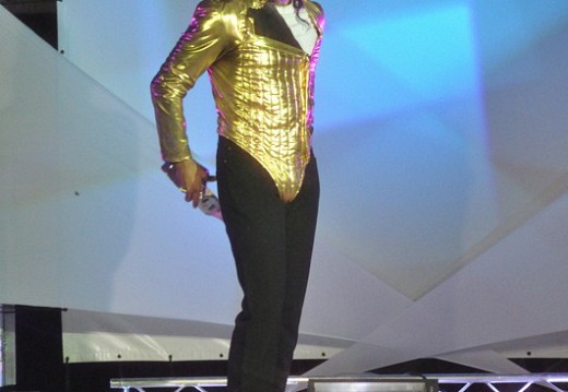 Festival Michael Jackson Juillet 2011 276