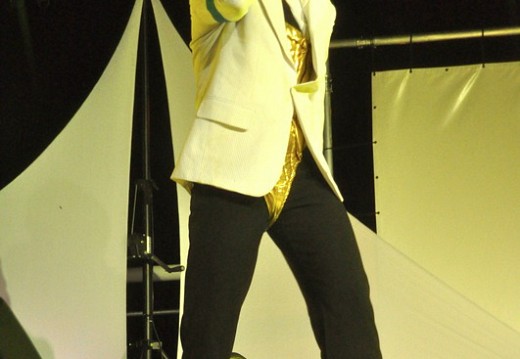 Festival Michael Jackson Juillet 2011 310