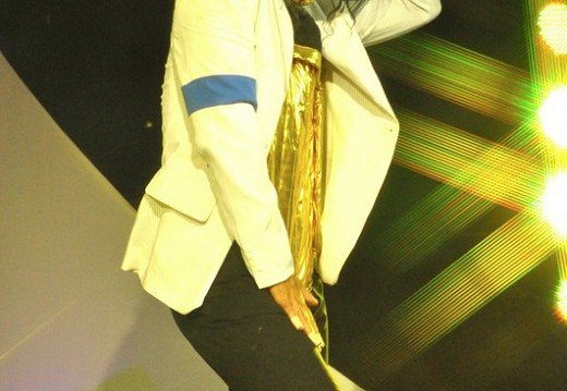 Festival Michael Jackson Juillet 2011 314