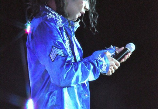 Festival Michael Jackson Juillet 2011 474