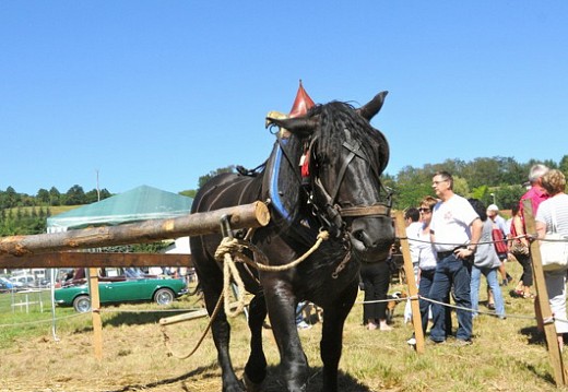 Fete des battages Vernioz Aout 2011 86
