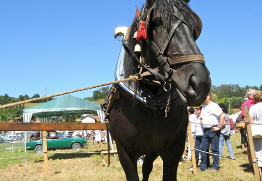 Fete des battages Vernioz Aout 2011 87