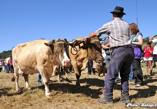 Fete des battages Vernioz Aout 2011 92