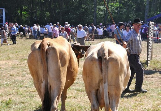 Fete des battages Vernioz Aout 2011 94