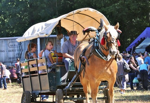 Fete des battages Vernioz Aout 2011 95