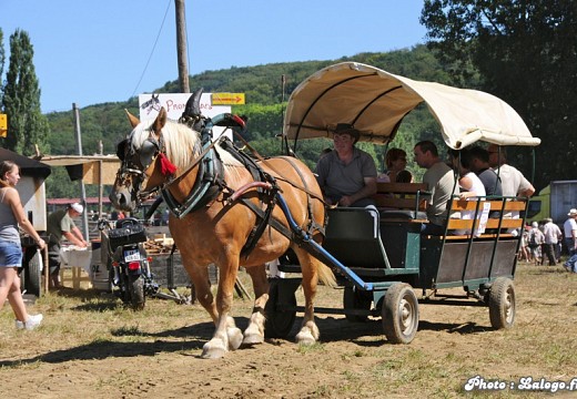 Fete des battages Vernioz Aout 2011 96