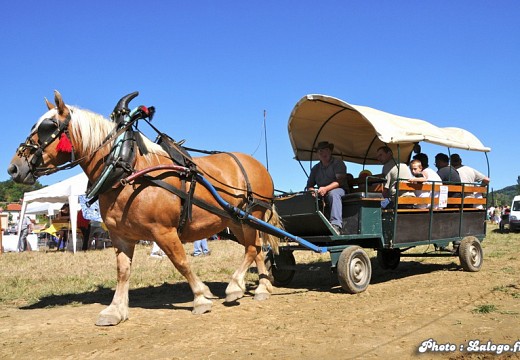 Fete des battages Vernioz Aout 2011 97