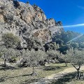 drome provencale - janvier 2022 - 8