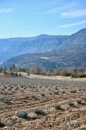 drome provencale - mars 2022 - 13