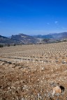 drome provencale - mars 2022 - 14