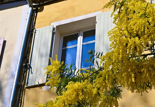 drome provencale - mars 2022 - 45