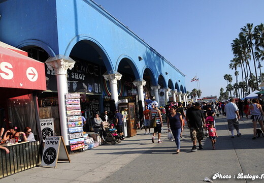 Voyage USA 2013 - 3 nov 2013 - Venice Beach - 7 - display this album Voyage USA 2013 - 3 nov 2013 - Venice Beach - 7