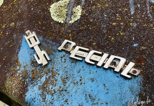 Collection Logos Citroën