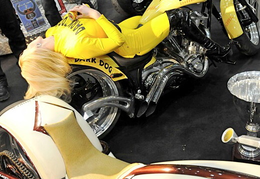 Salon du 2 Roues - Lyon 2010 - 249