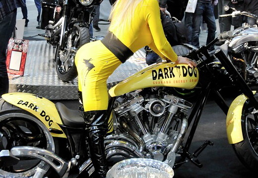 Salon du 2 Roues - Lyon 2010 - 252