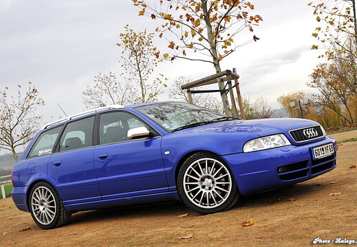 automobiles sportives ambérieux - novembre 2009 - 251
