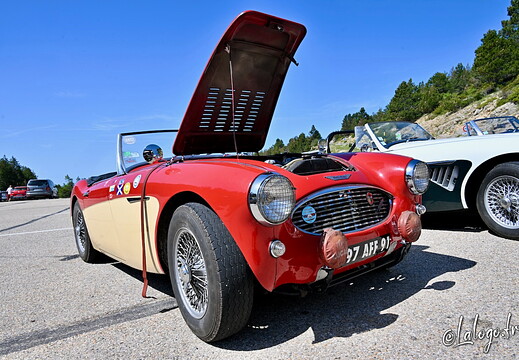 Austin Healey (Vintage Rally) - montre les photos à la racine de cet album Austin Healey (Vintage Rally)