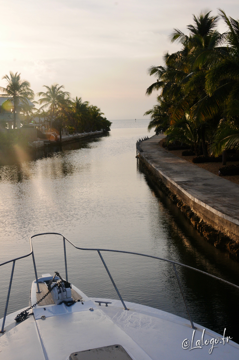 Voyage USA 2016 - 5 mars 2016 - Peche au gros à Key Largo - 018.jpeg